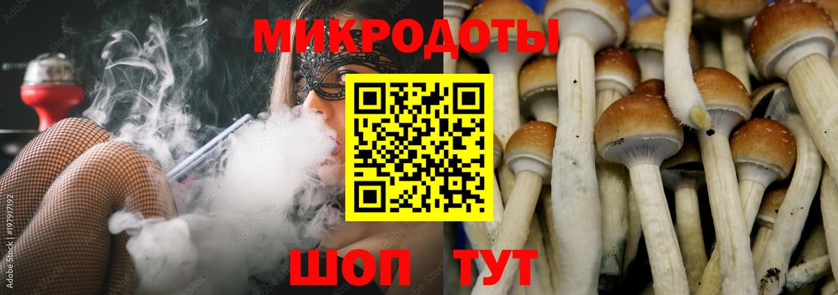 Псилоцибиновые грибы MAGIC MUSHROOMS Тобольск