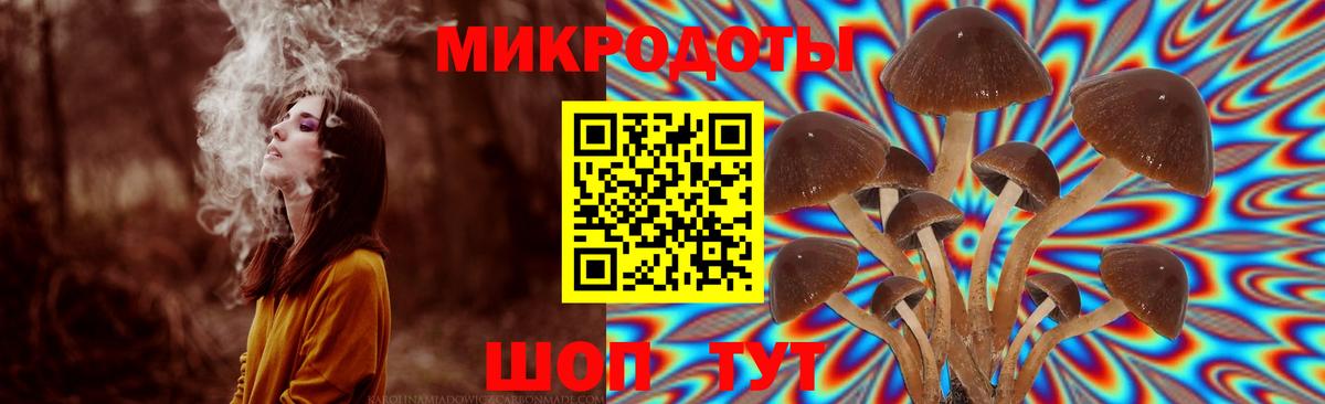 Псилоцибиновые грибы Psilocybe  закладка  Галлюциногенные грибы ЛСД  Тобольск  Вход с VPN 